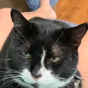 Meet your Posher, Nancy